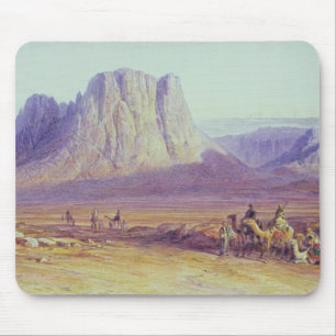 Camel Train, Condessi, Mount Sinai, 1848 Muismat