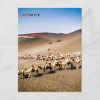 Camel Train in Lanzarote