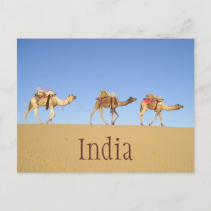 Camel Train, Thar Desert Carte Postale