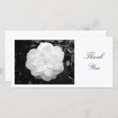 Camelia blanc - Merci (Devant / Derrière)