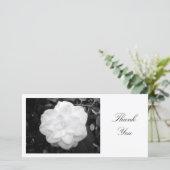 Camelia blanc - Merci (Debout devant)