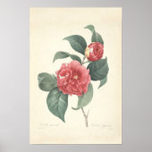 Camelia Canvas afdrukken Poster (Voorkant)