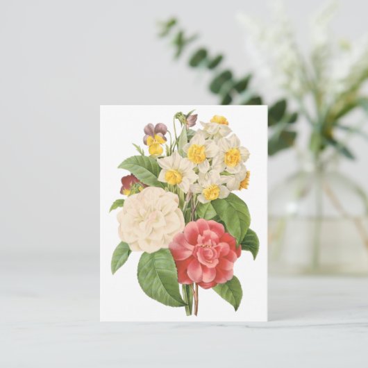 Camelias et Daffodiles par Redoute Invitation (Debout devant)