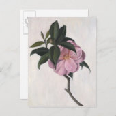 Camellia 1998 briefkaart (Voorkant / Achterkant)