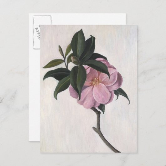 Camellia 1998 briefkaart (Voorkant / Achterkant)