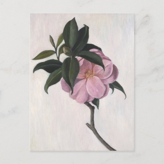 Camellia 1998 briefkaart (Voorkant)