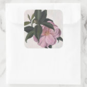 Camellia 1998 vierkante sticker (Tas)