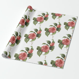 Camellia Bloem Patroon Cadeaupapier