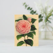 camellia briefkaart (Staand voorkant)