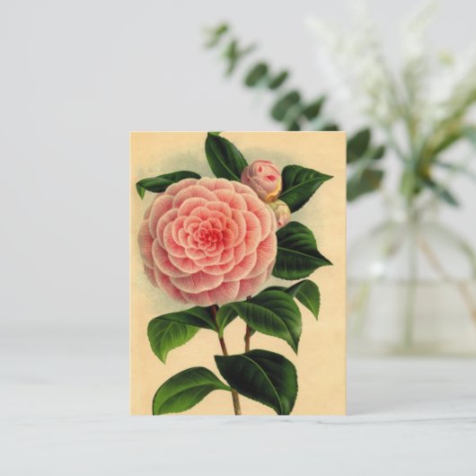 camellia briefkaart (Staand voorkant)