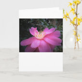 Camellia, carte (Fleur jaune)