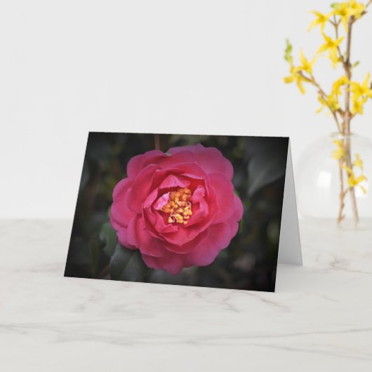 Camellia, carte (Fleur jaune)