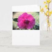 Camellia, carte (Fleur jaune)