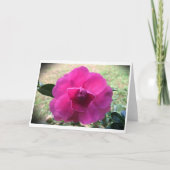 Camellia, carte (Devant)