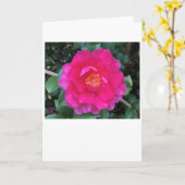Camellia, carte (Fleur jaune)