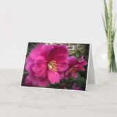 Camellia, carte (Devant)