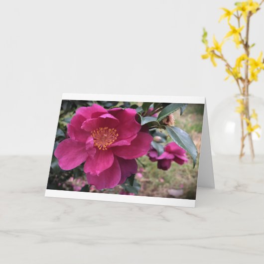 Camellia, carte (Fleur jaune)