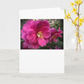 Camellia, carte (Fleur jaune)