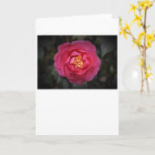 Camellia, carte (Fleur jaune)
