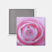 Camellia Closeup Magnet (Recto/Verso)