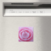 Camellia Closeup Magnet (In Situ (Lave-vaisselle))