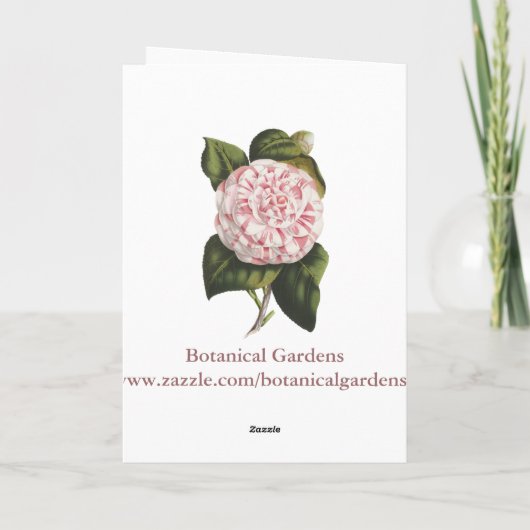 Camellia Elegant Dank u Bedankkaart (Achterkant)