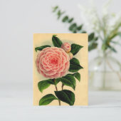 Camellia Floral Briefkaart -  Roze (Staand voorkant)