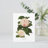Camellia japonica briefkaart (Staand voorkant)