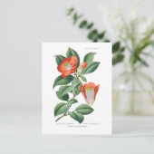 Camellia japonica briefkaart (Staand voorkant)