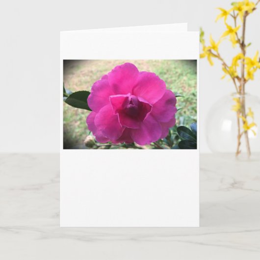 Camellia, kaart (Gele Bloem)