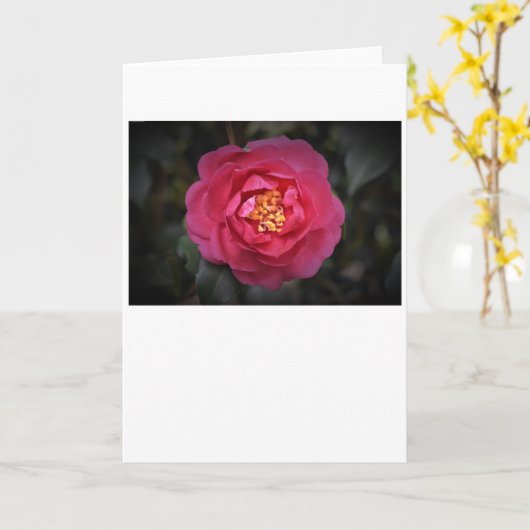 Camellia, kaart (Gele Bloem)