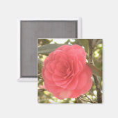 Camellia Magnet (Recto/Verso)