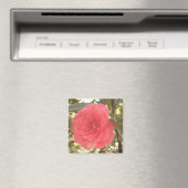 Camellia Magnet (In Situ (Lave-vaisselle))