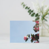 Camellia Pink Flower Blue Sky Briefkaart (Staand voorkant)