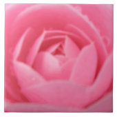 Camellia Pink Tile Tegeltje (Voorkant)