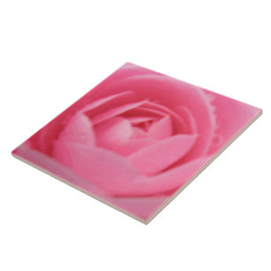 Camellia Pink Tile Tegeltje