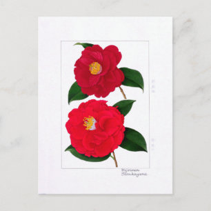 Camellia-plaat: Hijirimen & Suzukayama Briefkaart