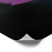 Camellia Poster (Hoek)