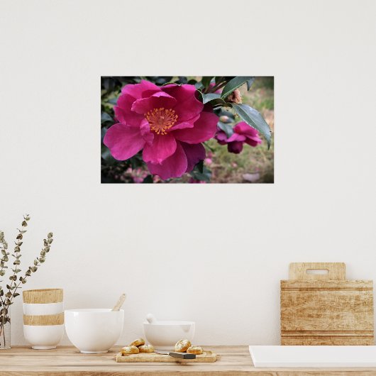 Camellia Poster (Keuken)