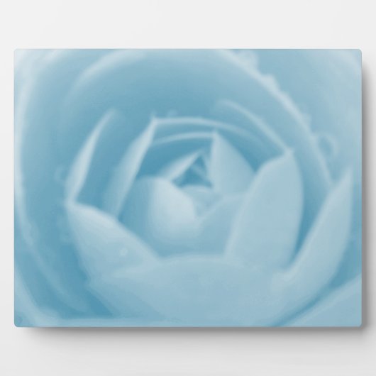 Camellia Whirlpool Plaque (Devant)