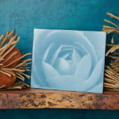 Camellia Whirlpool Plaquette Fotoplaat (Zijkant)