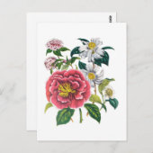 Camellias Briefkaart (Voorkant / Achterkant)