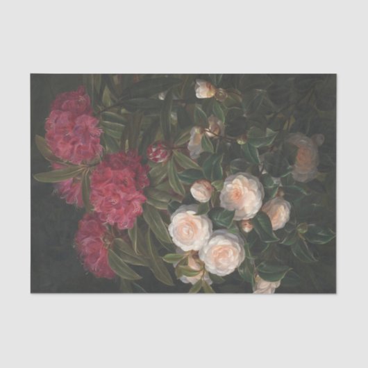 Camellias en Rhododendrons, ontkoppeling Tissuepapier (Voorkant)