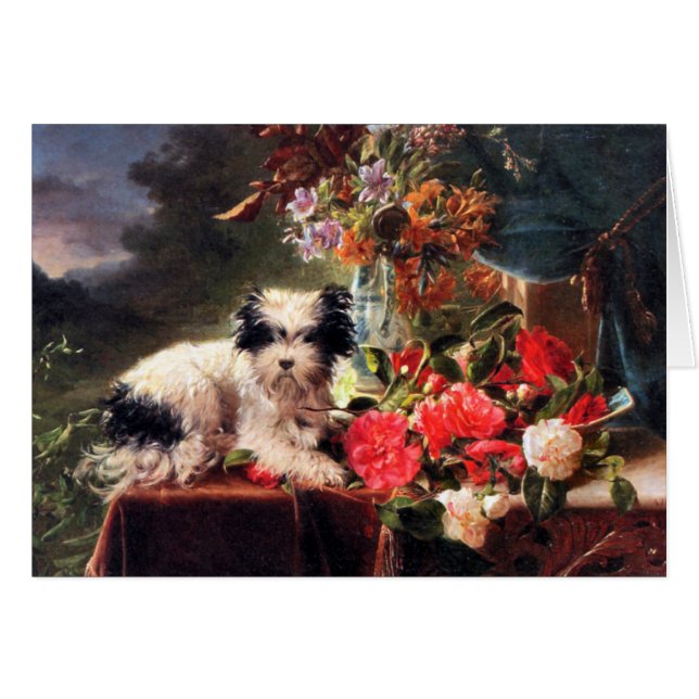 Camellias et Terrier (Devant horizontal)