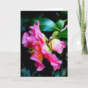 "Camellias roses." Carte de voeux