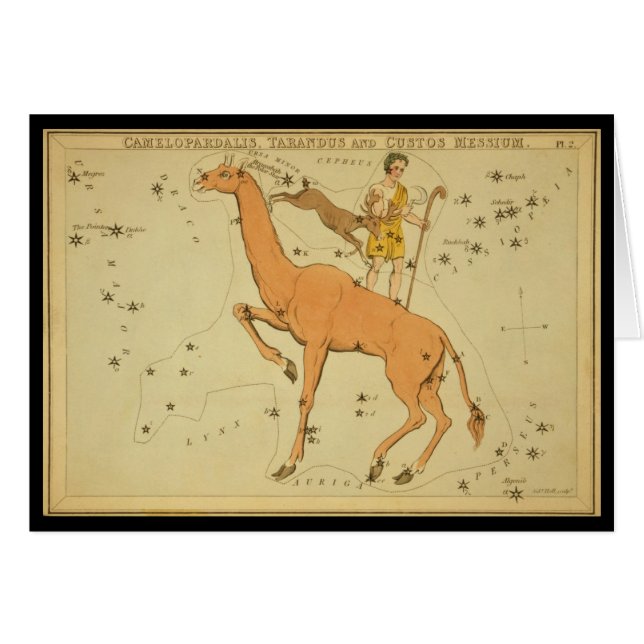 Camelopardalis, Tarandus en Custos Messium (Voorkant Horizontaal)