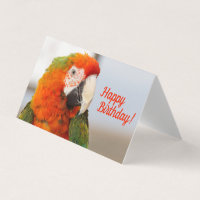 Camelot Macaw Bonne carte d'anniversaire