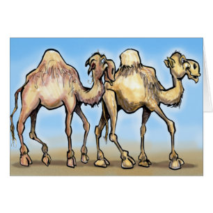 Camels