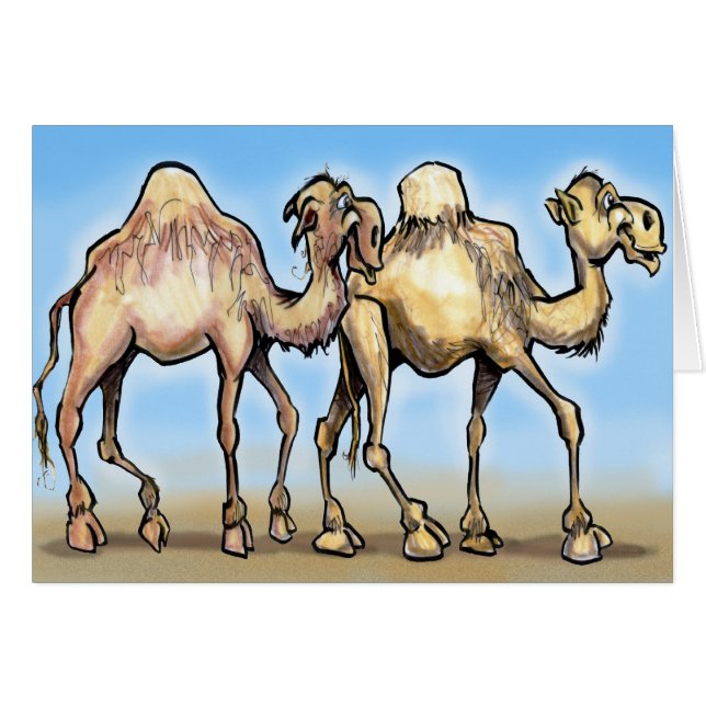 Camels (Devant horizontal)