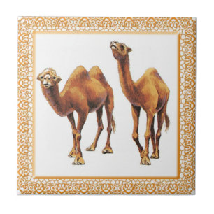 Camels A-Go Tile Tegeltje